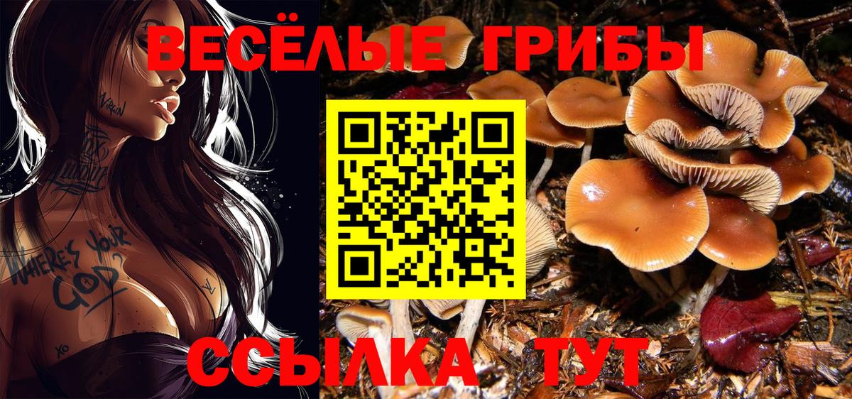 Псилоцибиновые грибы Psilocybine cubensis  что такое   Воткинск  Галлюциногенные грибы Magic Shrooms  Вход с VPN 