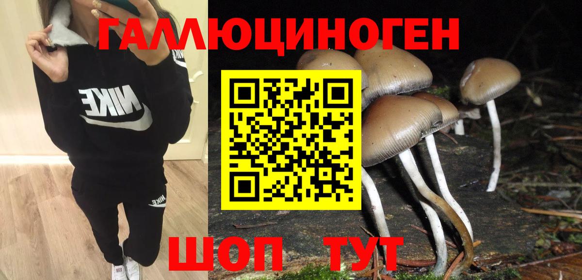 Псилоцибиновые грибы Magic Shrooms Воткинск